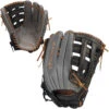 Easton Professional Collection 14 Inch PCSP14 Slowpitch Softball Glove -Passion Baseball easton pcsp14 01 75393.1657665580