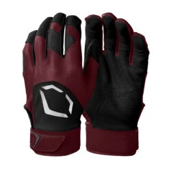 Evoshield Standout Youth Baseball Batting Gloves -Passion Baseball wb5712812 2 evo standout batting glove adult wh ma.png.cq5dam.web .2000.2000 68840.1679431535