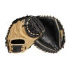 Wilson 2023 A2000 SuperSkin 34 Inch WBW10097834 Baseball Catcher's Mitt -Passion Baseball wbw100978 8 a2000 c 1790ss 34 blo bk 58511.1667413099