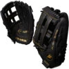 Worth Players Series 15 Inch WPL150-PH Slowpitch Softball Glove -Passion Baseball worth wpl130 ph 01 68891.1654283892